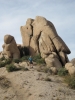PICTURES/Toms Thumb Trail/t_George.jpg